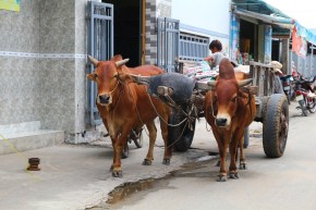 Kärryillä kohti tuntematonta