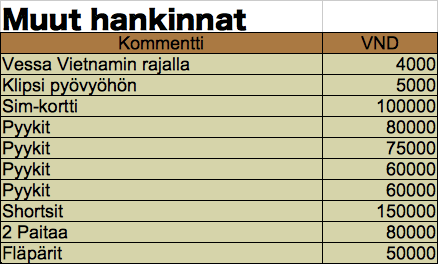 Muut hankinnat avattuina