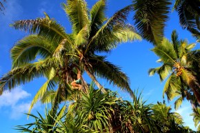 Ja vielä vaikeamman kautta