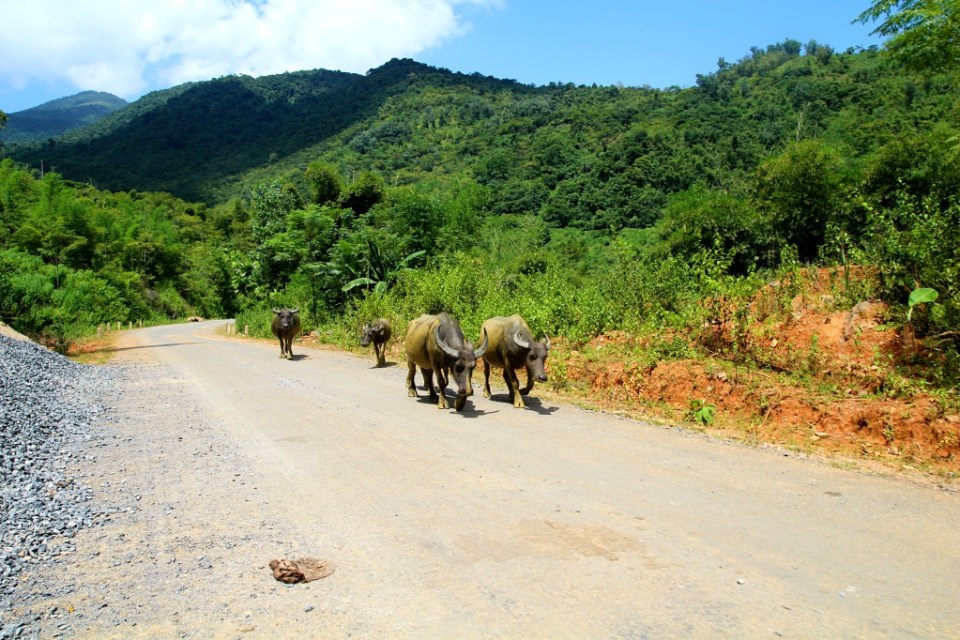 Kaksin aina kaunihimpi