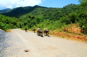 Kaksin aina kaunihimpi