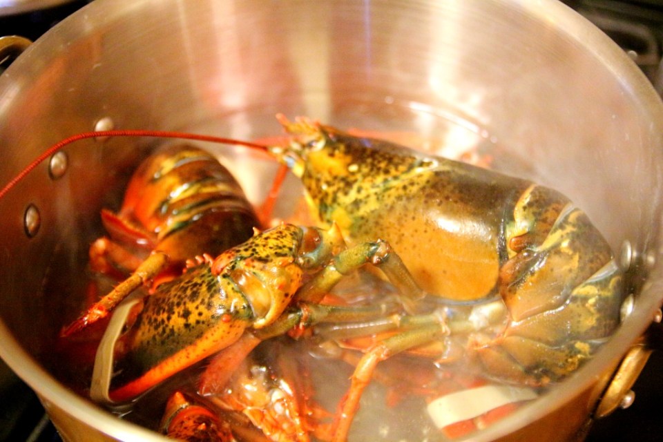 Hummerit valmistumassa