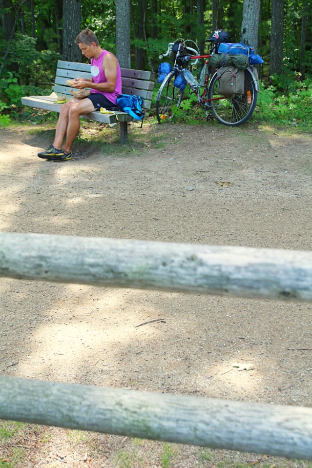 Avocadoleipiä, Greenwaylla