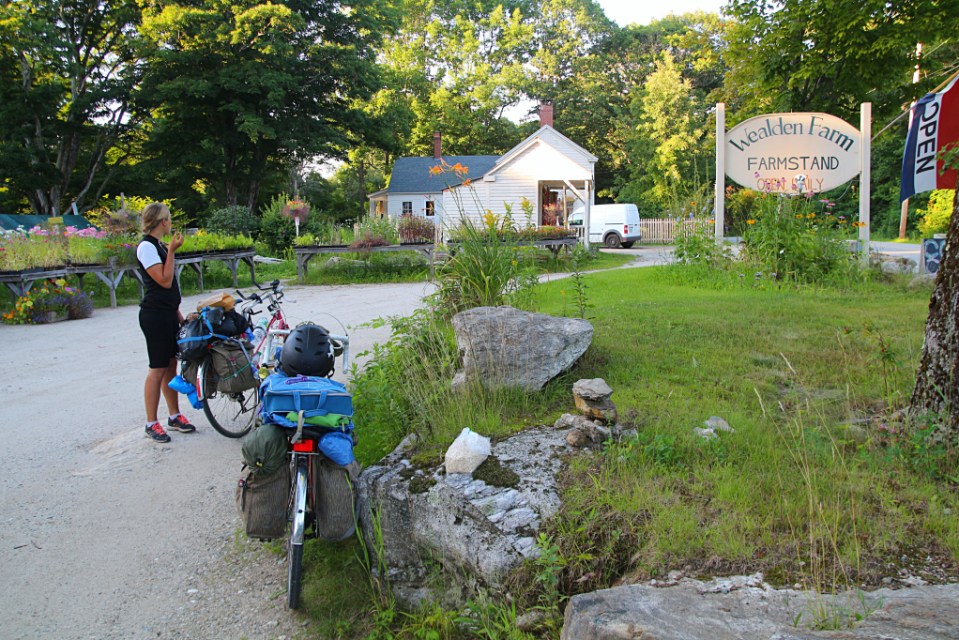 Naposteltavaa, Freeport