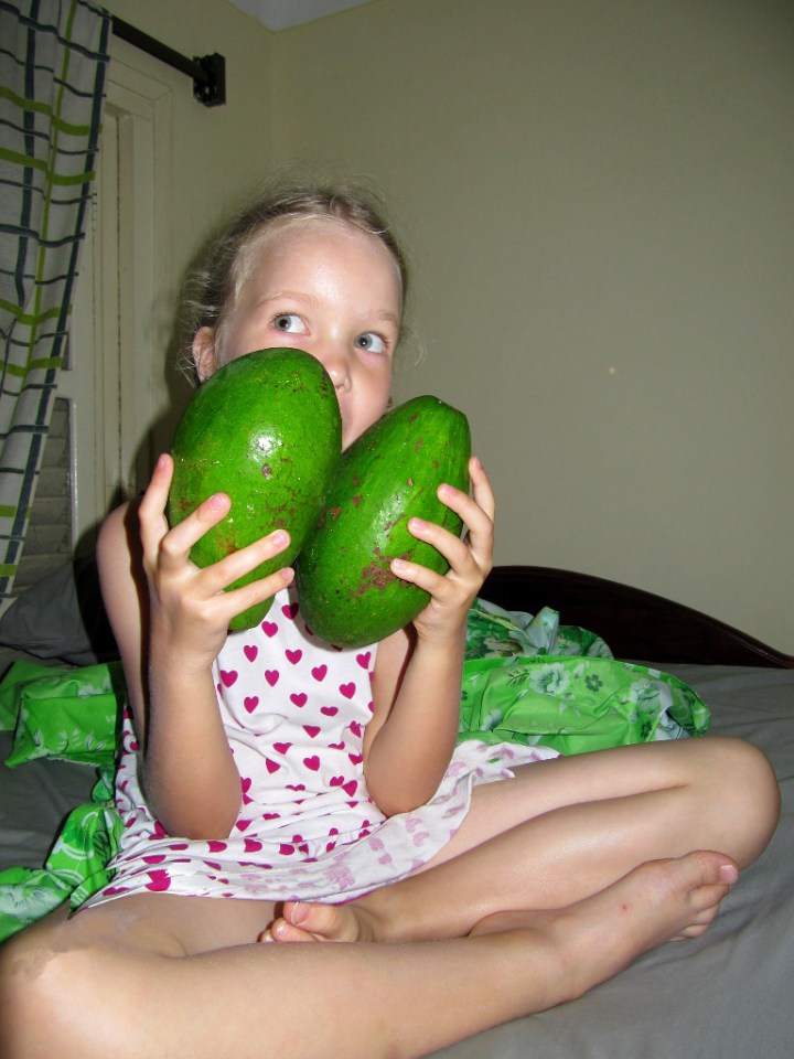 Valehtelematta päänkokoisia