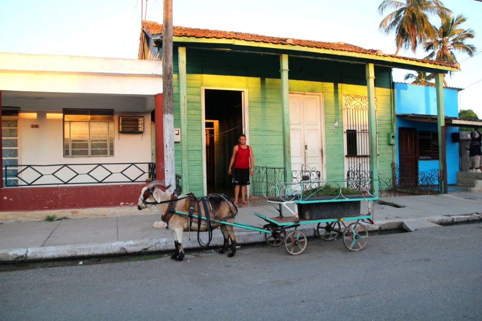 Paikallinen menopeli