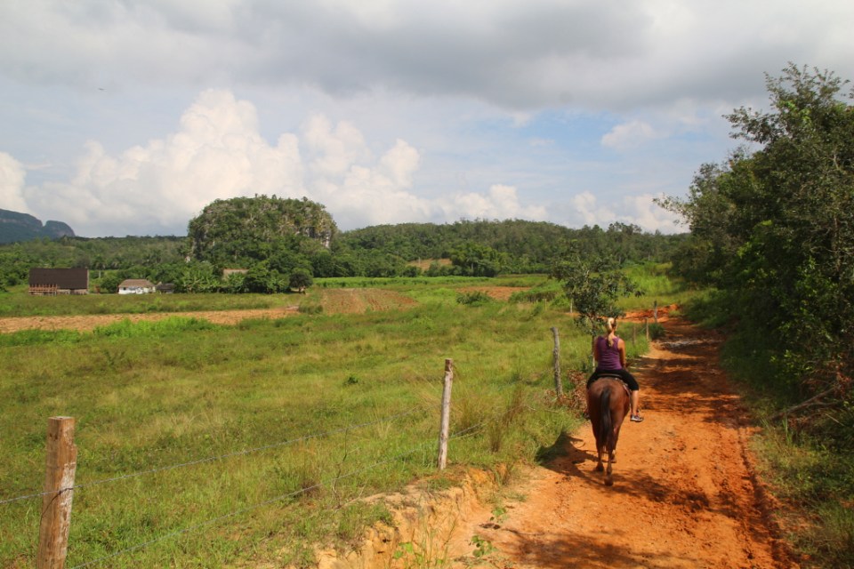 Vinalesin maisemissa
