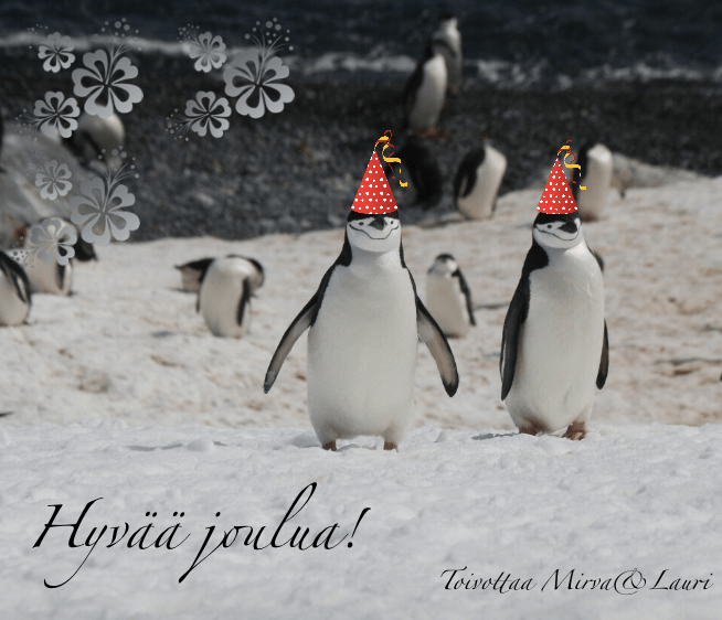 Hyvää Joulua!