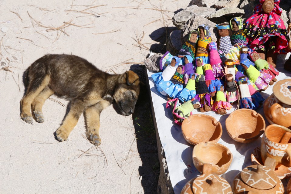 Rennosti reissaten, bussilla Creel – Chihuahua – El Paso – Los Angeles – San Diego