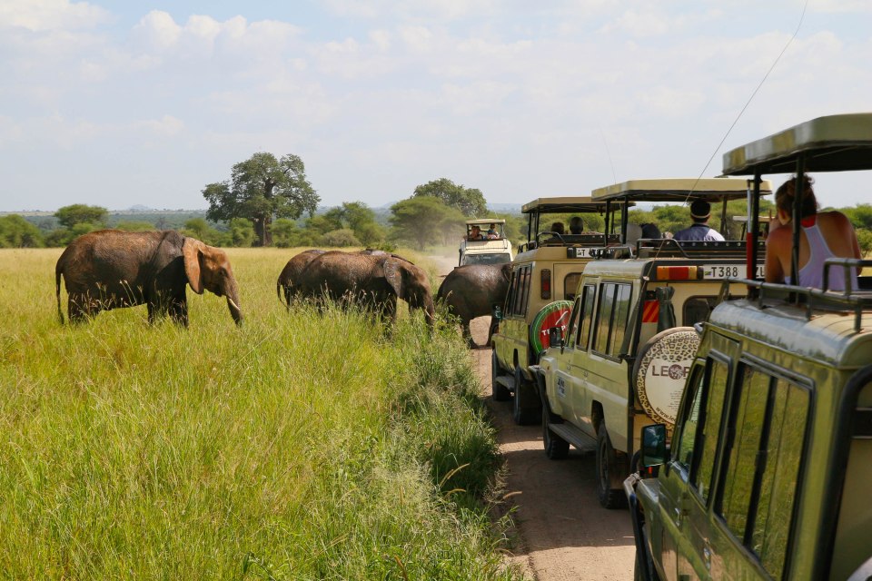 Marssimassa tien yli