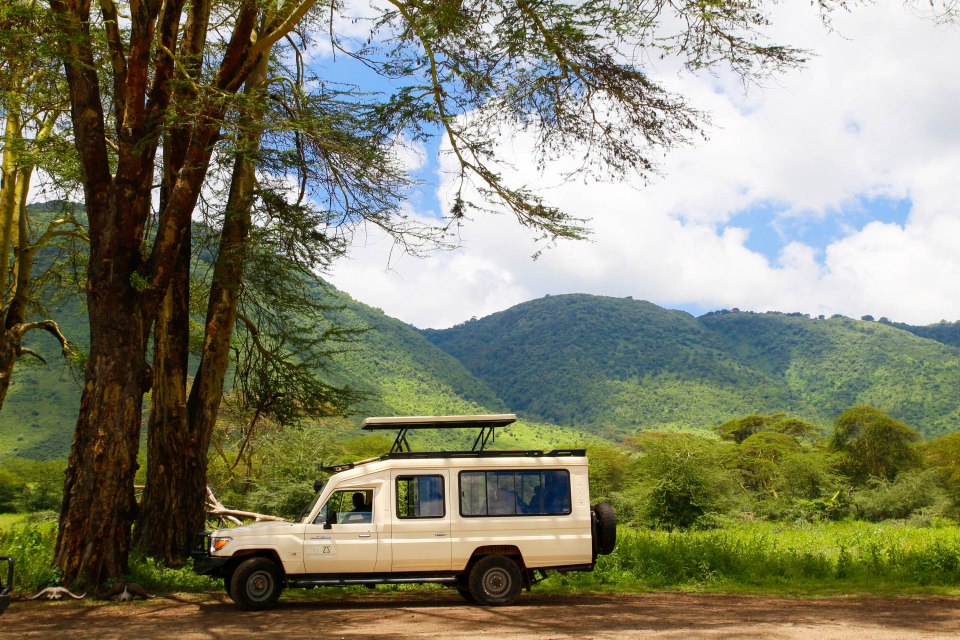 Koko auton takaosio vain meille