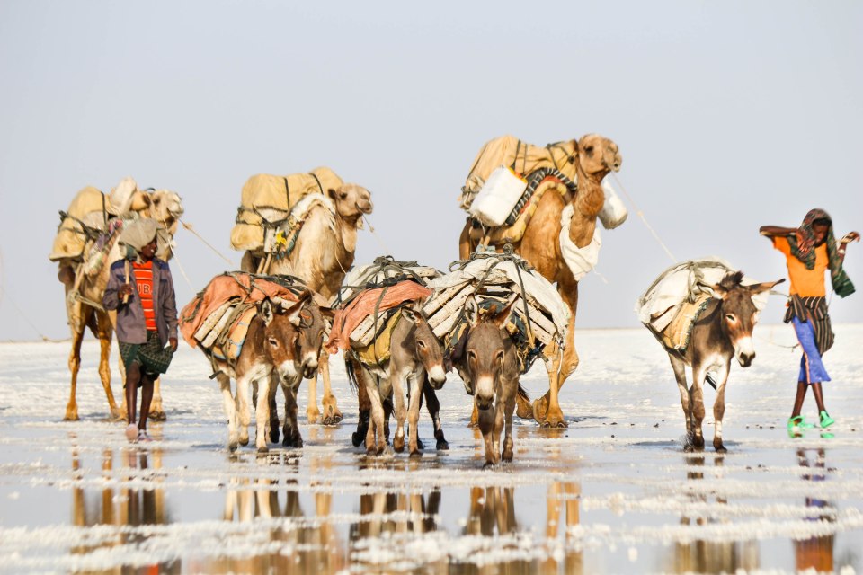 Karavaanin kärjessä